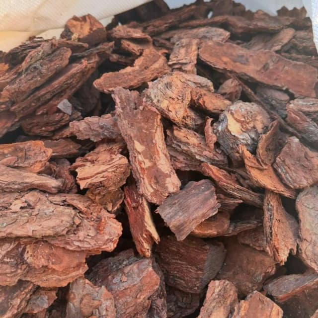 Kora bukowa gruba – 40mp, do ściółki